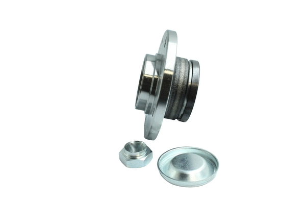 Wheel Bearing Kit (86110199)