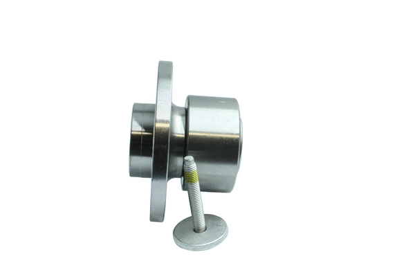 Wheel Bearing Kit (86110300)