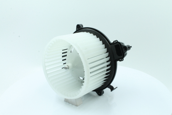 Interior Blower