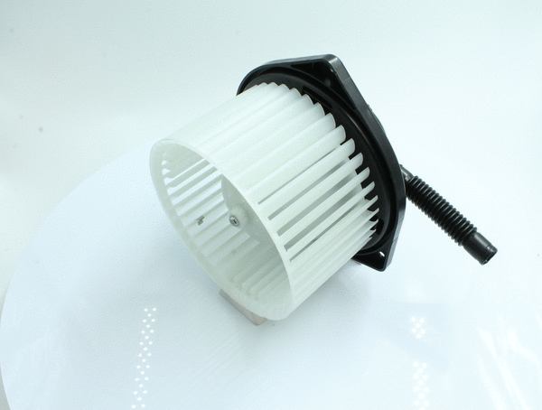 Interior Blower