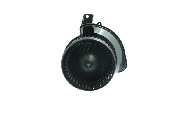 Interior Blower