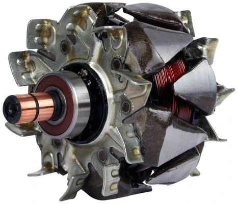 Rotor, alternator (81111033)