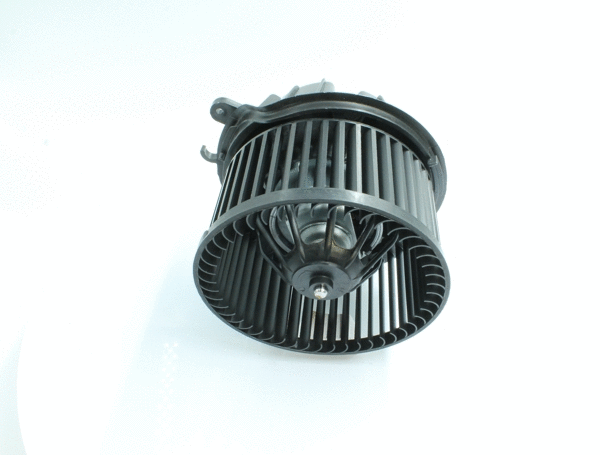 Interior Blower (7200074)