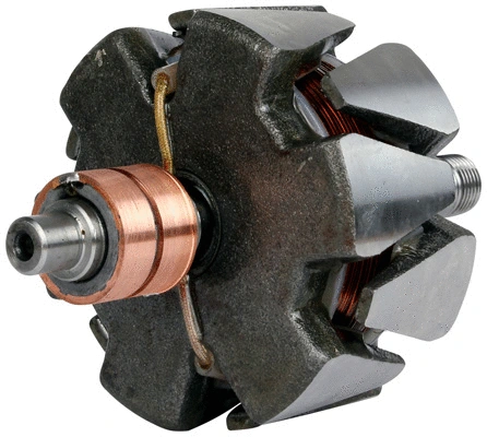 Rotor, alternator (1114820)