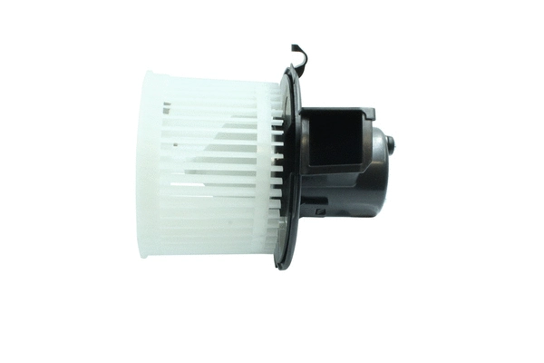 Interior Blower (7200076)