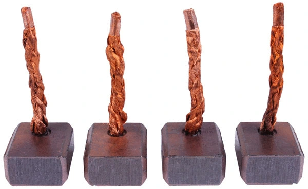 Carbon Brush, starter (81014813)