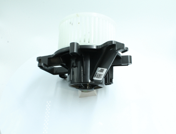 Interior Blower