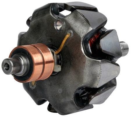 Rotor, alternator (1116883)