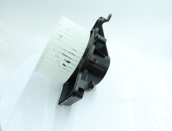 Interior Blower (7200191)