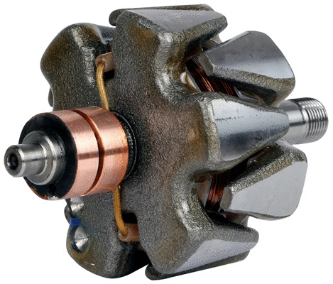 Rotor, alternator (1116434)