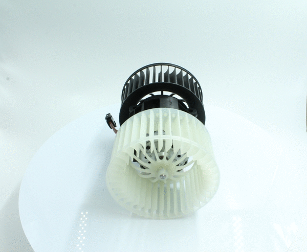 Interior Blower (7200063)
