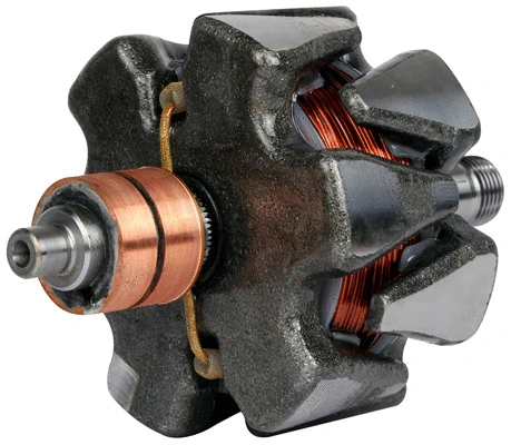 Rotor, alternator (1116678)