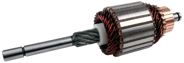 Armature, starter (81011060)