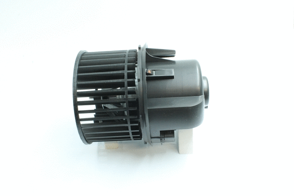 Interior Blower (7200133)
