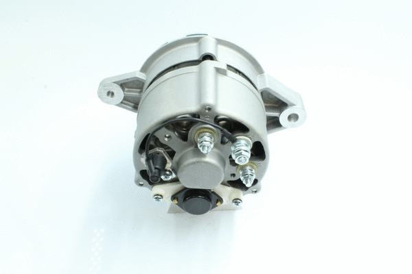 Alternator (89213184)