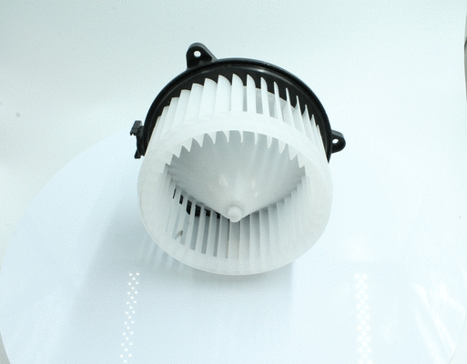 Interior Blower