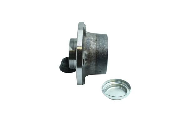 Wheel Bearing Kit (86110255)