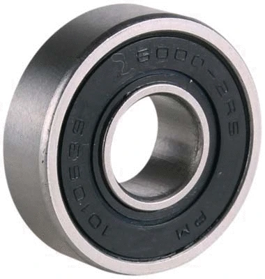 Bearing (81010639)