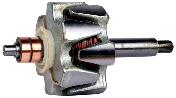 Rotor, alternator (1111695)
