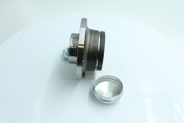 Wheel Bearing Kit (86110119)