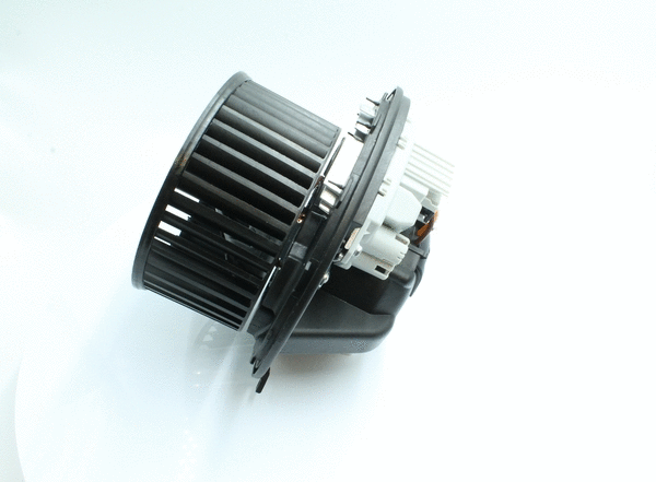 Interior Blower (7200016)