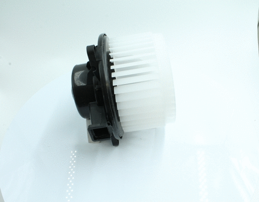 Interior Blower