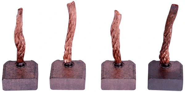 Carbon Brush, starter (81016478)