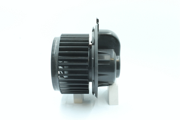 Interior Blower (7200018)