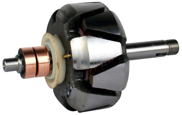 Rotor, alternator (1113494)