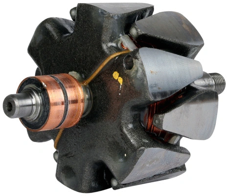 Rotor, alternator (1110829)