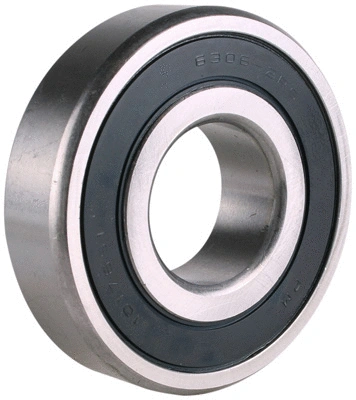 Bearing (1017651)