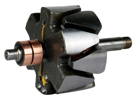 Rotor, alternator (1110175)