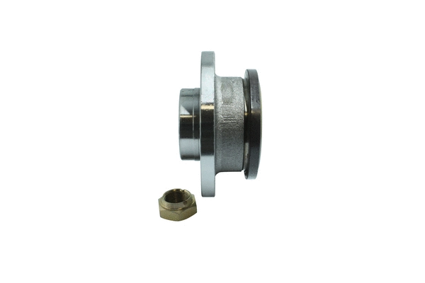 Wheel Bearing Kit (86110228)