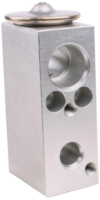 Expansion Valve, air conditioning (7110243)