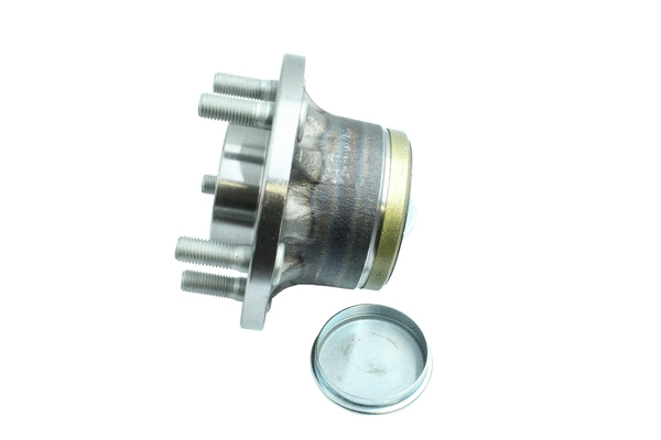 Wheel Bearing Kit (86110145)