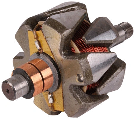 Rotor, alternator (81113174)
