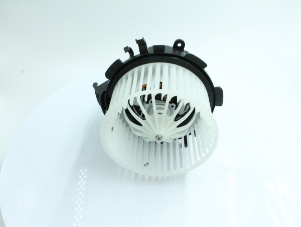 Interior Blower