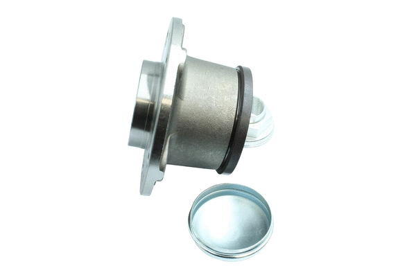 Wheel Bearing Kit (86110352)