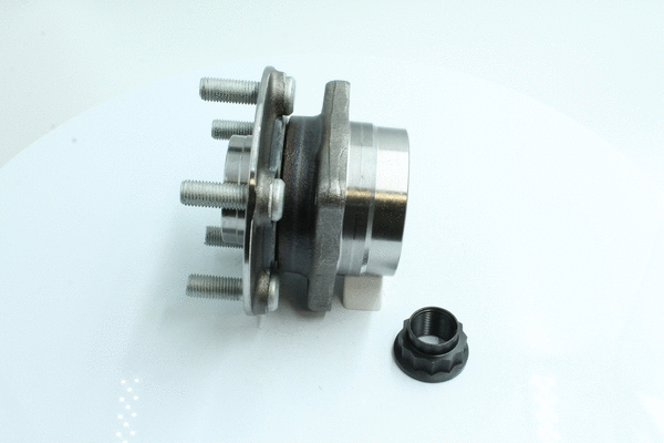 Wheel Bearing Kit (86110200)