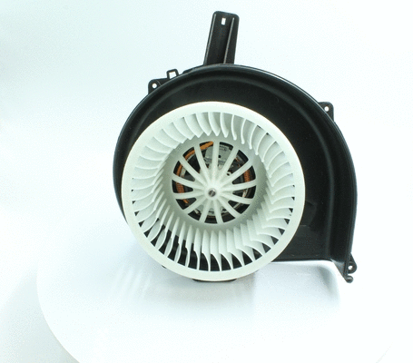 Interior Blower