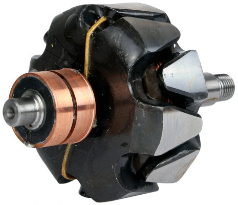 Rotor, alternator (1111682)