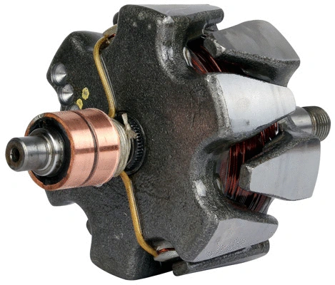 Rotor, alternator (1116569)