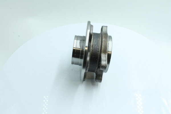Wheel Bearing Kit (86110396)