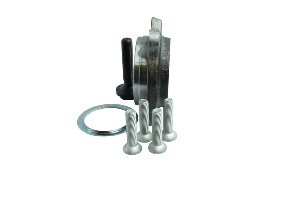 Wheel Bearing Kit (86110037)