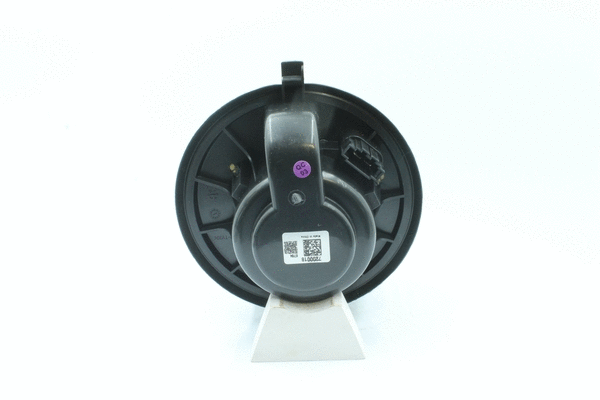 Interior Blower