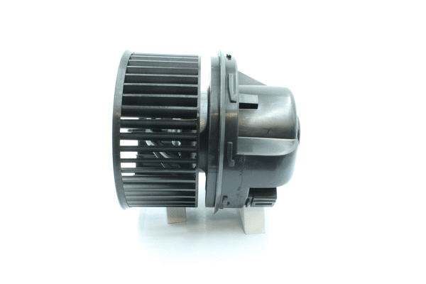 Interior Blower (7200167)