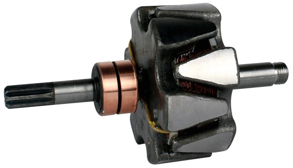 Rotor, alternator (1113490)