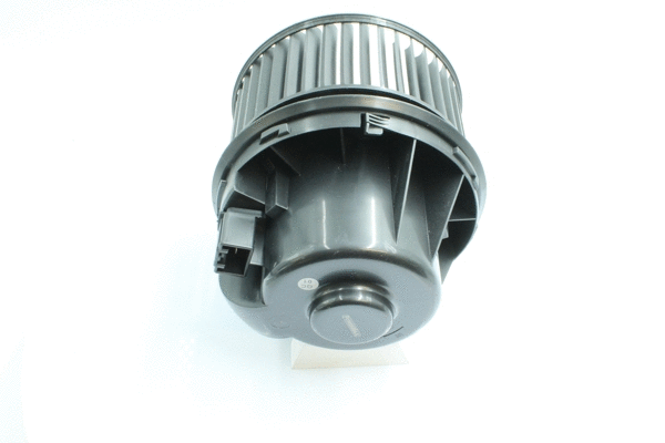 Interior Blower (7200023)