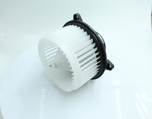 Interior Blower