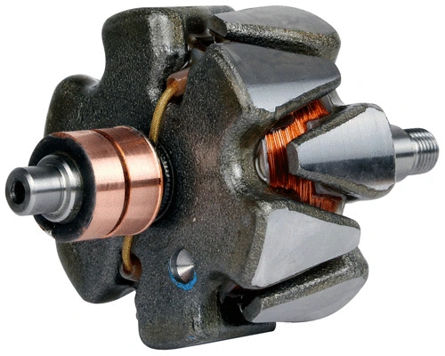 Rotor, alternator (1112558)